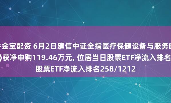 牛金宝配资 6月2日建信中证全指医疗保健设备与服务ETF(159891)获净申购119.46万元, 位居当日股票ETF净流入排名258/1212